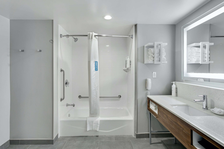 Bathroom 5, Hampton Inn Houston-Pearland, Brazoria