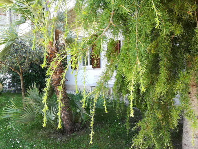 Others 4, Angolo Felice B&B, Ascoli Piceno