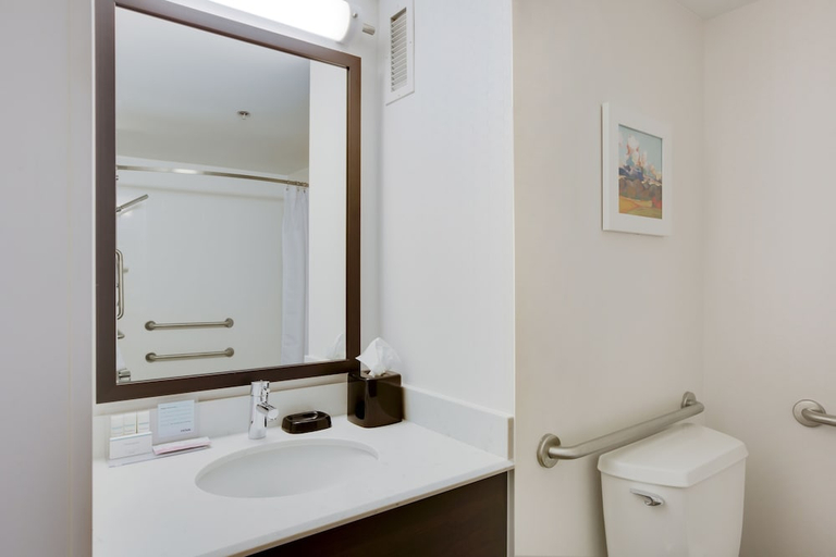 Bathroom 4, Hampton Inn Harrisonburg - University, Harrisonburg