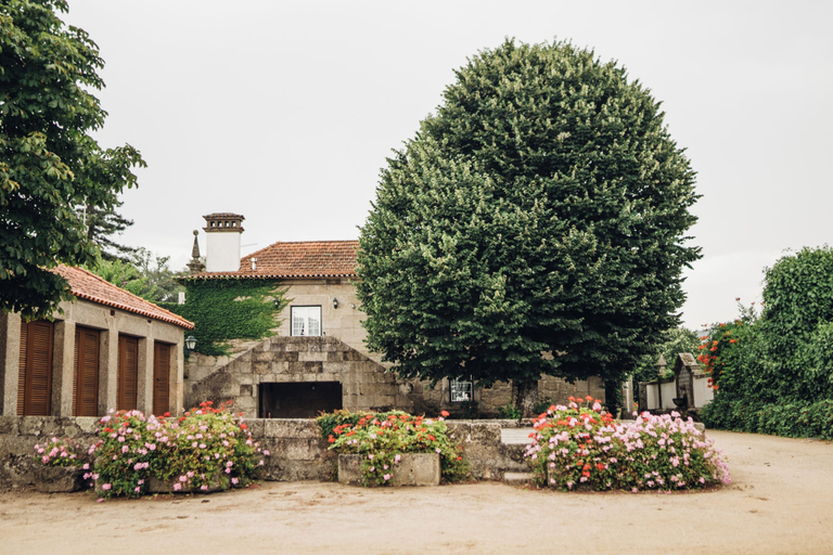 Exterior & Views 2, Quinta De Guimaraes, Baião