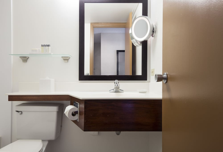 Bathroom 5, The Twin Fin Hotel, Honolulu