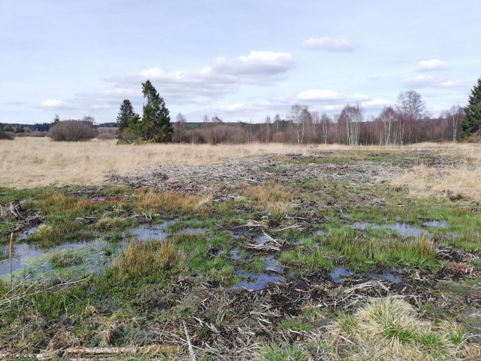 View from property 3, Escape in Hautes Fagnes, Liège