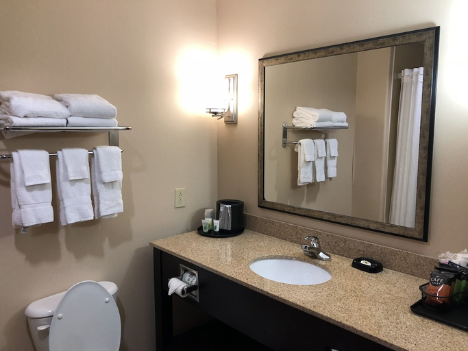 Bathroom 4, Best Western Plus Goodman Inn & Suites, Desoto