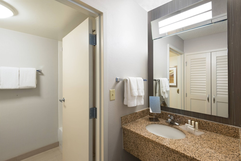 Bathroom 3, Courtyard Harlingen, Cameron