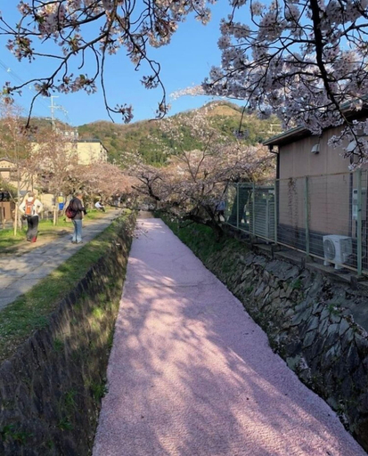 Exterior & Views 2, GUESTHOUSE KYOTO MICaSA, Kyoto