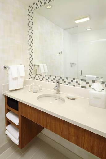 Bathroom 4, Springhill Suites Houston Intercontinental Airport, Houston