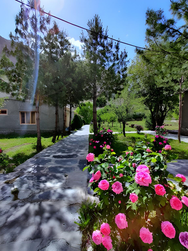 Others 4, Passu Tourist Lodge, Northern Areas
