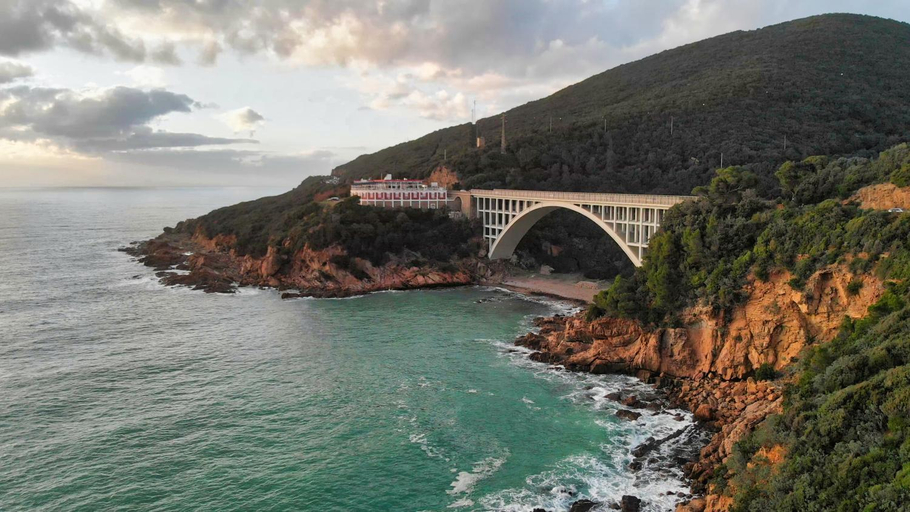 Others 5, Petali di Toscana, Livorno