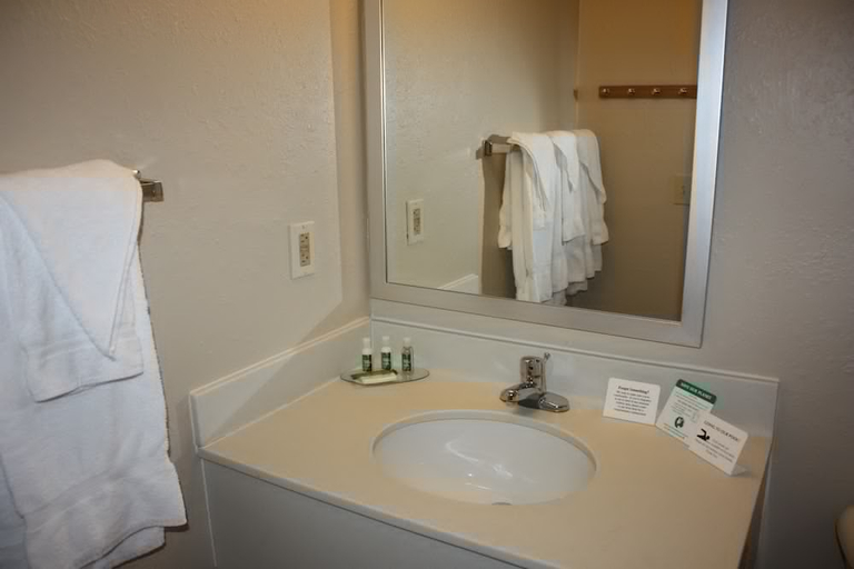Bathroom, Outer Banks Inn, Dare