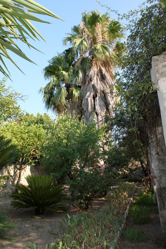 Others 5, Dimora Storica ''Casa Sicuro'', Lecce
