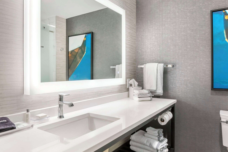 Bathroom 5, Cambria Hotel Niagara Falls, Niagara