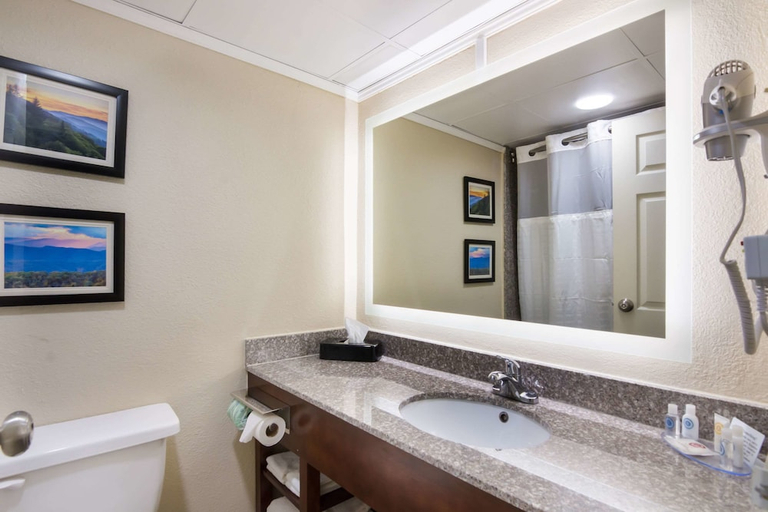 Bathroom 3, Comfort Inn Kings Mountain, Cleveland