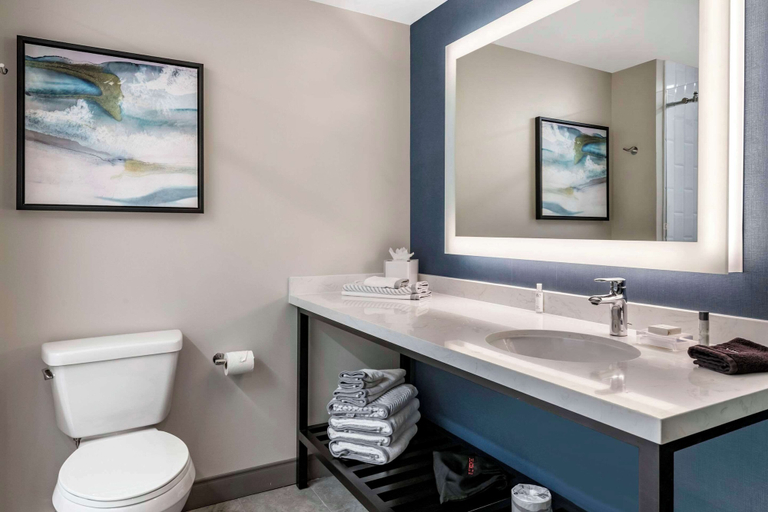 Bathroom 4, Cambria Hotel Orlando Airport, Orange