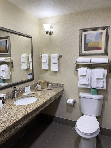 Bathroom 4, Comfort Suites Kings Bay Naval Base Area, Camden