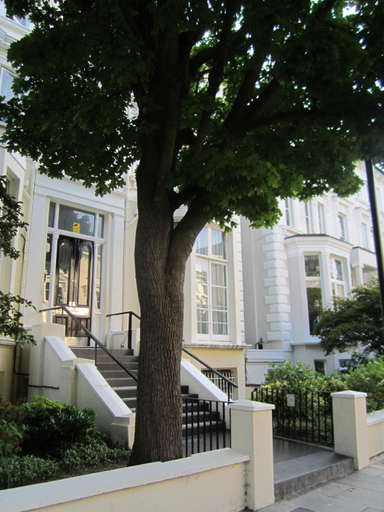 Others 3, Belsize House (Belsize Park), London