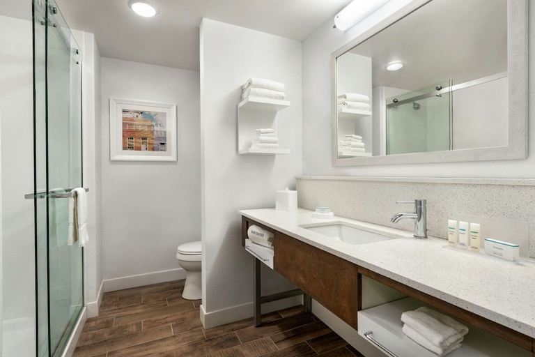 Bathroom 4, Hampton Inn & Suites Johns Creek, Fulton