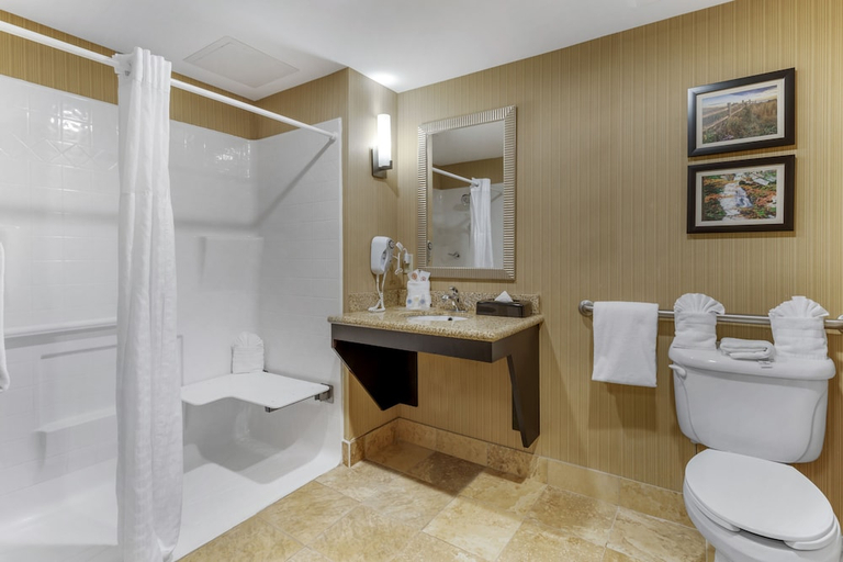 Bathroom 4, Comfort Suites Knoxville North, Knox