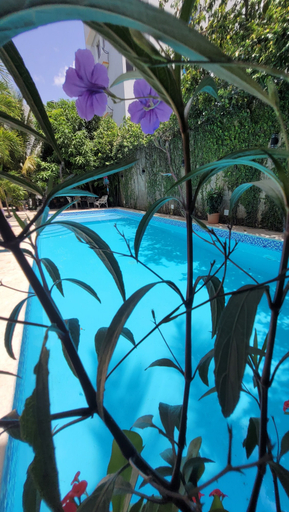 Sport & Beauty 5, Green Oasis Hotel, La Romana