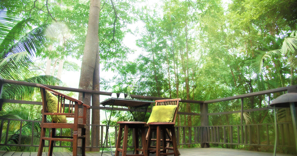 Scenery 5