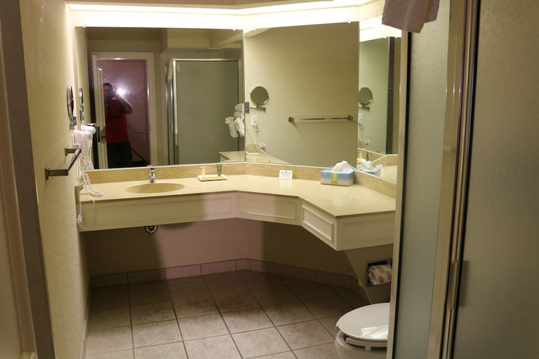 Bathroom 3, Imperial Swan Hotel Suites, Polk