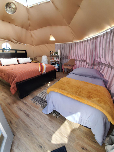 Bedroom 3, The Kosmic Tortoise, San Bernardino