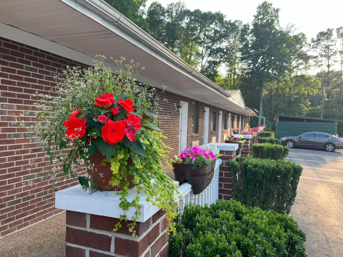 Exterior & Views 2, Pine Tree Inn, Decatur