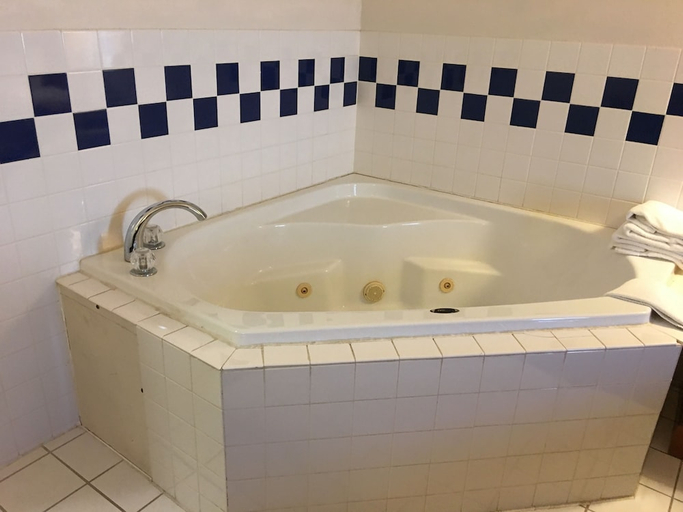 Bathroom 4, Quality Inn Kalamazoo near Wings Stadium, Kalamazoo