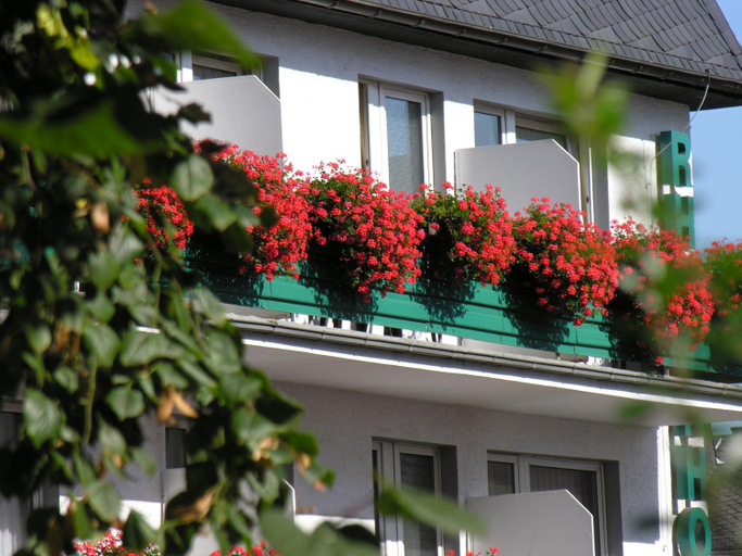 Exterior & Views 1, Rheinhotel Rudesheim - Wellness, Rheingau-Taunus-Kreis