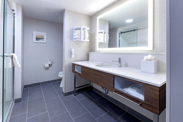 Bathroom 3, Hampton Inn & Suites Bakersfield Central, Kern