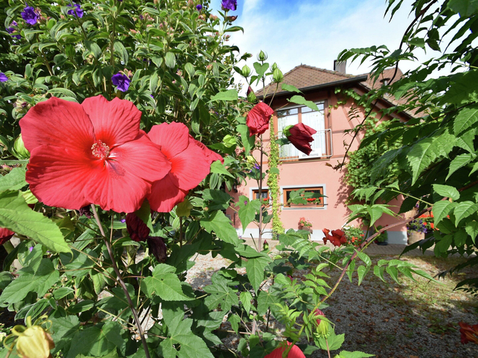 Others 1, Family-friendly Apartment, Freiburg im Breisgau