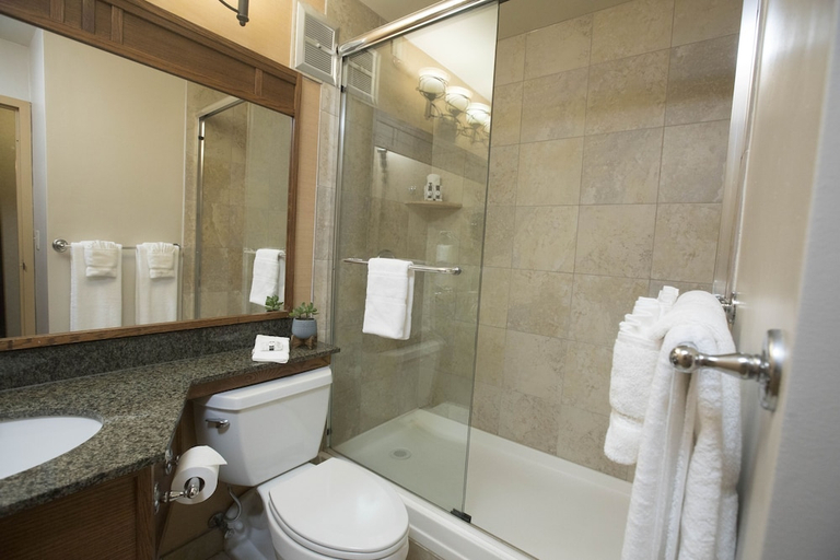 Bathroom 4, The Ridge Hotel, Walworth
