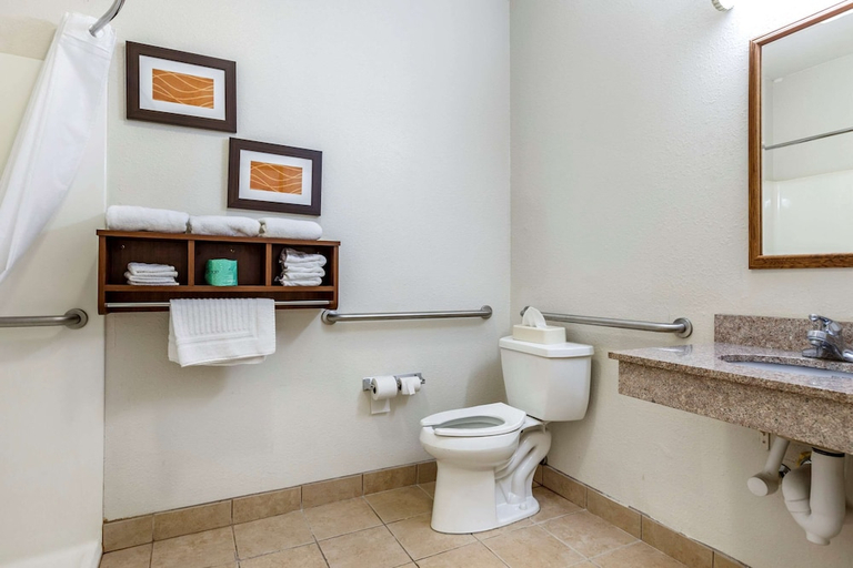 Bathroom 3, Comfort Inn Downtown - University Area, Kalamazoo