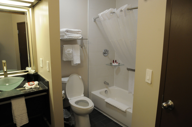 Bathroom 4, Radisson Hotel Southfield-Detroit, Oakland
