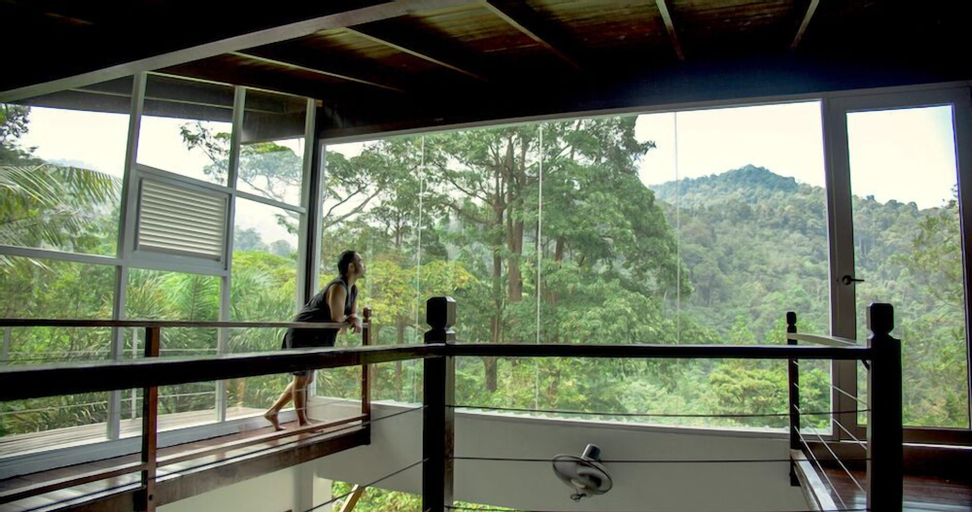 Scenery 11