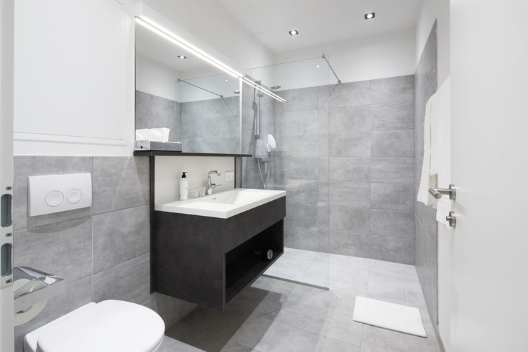 Bathroom 3, Hotel Gosser Brau, Wels