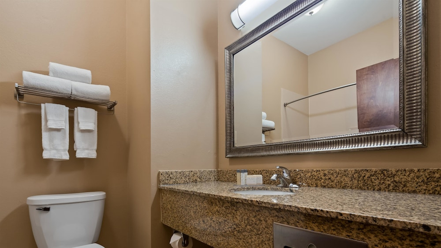Bathroom 4, Best Western Plus Louisa, Lawrence