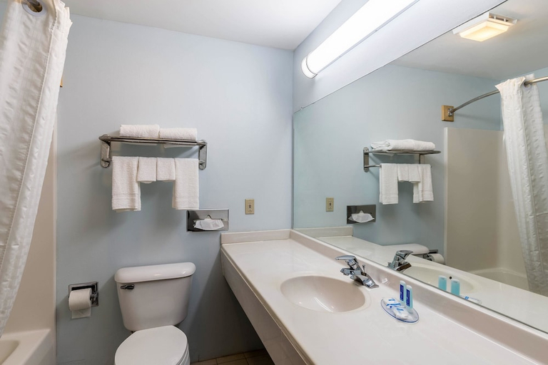Bathroom 4, Rodeway Inn Ludington, Mason