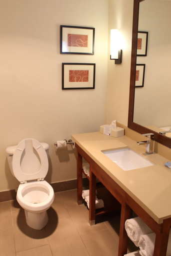 Bathroom 4, Comfort Suites Longview North, Gregg