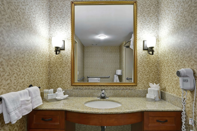 Bathroom 4, Homewood Suites by Hilton Lansdale, Montgomery