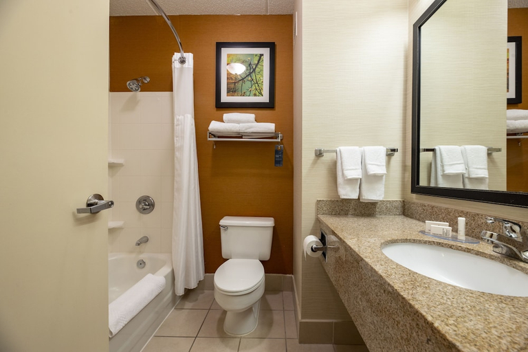 Bathroom 3, FAIRFIELD INN AND SUITES LUMBERTON, Robeson
