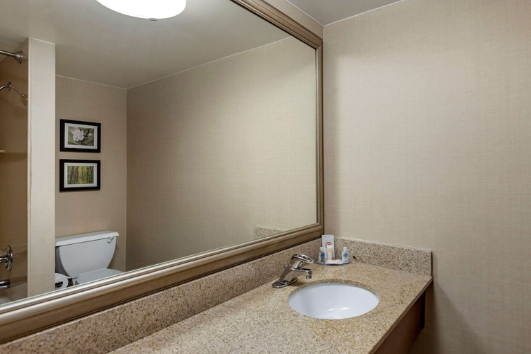 Bathroom 4, Comfort Inn Lansing West, Eaton