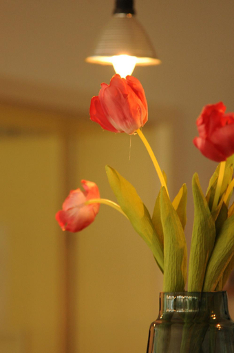Food & Drinks 5, hogh Hotel Heilbronn, Heilbronn
