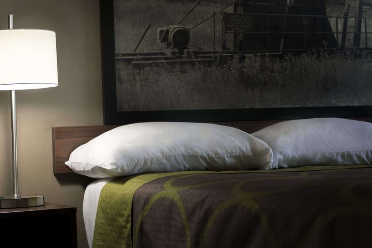 Bedroom 4, Super 8 by Wyndham Ardmore, Carter