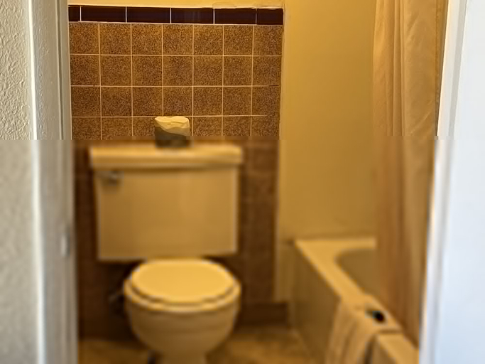 Bathroom 2, Silver Spur Motel, Fremont