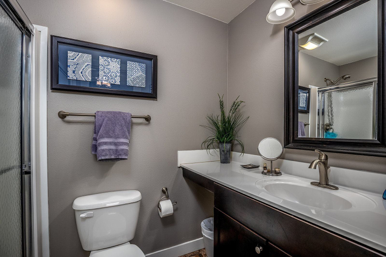 Bathroom 4, L`il Getaway, La Salle