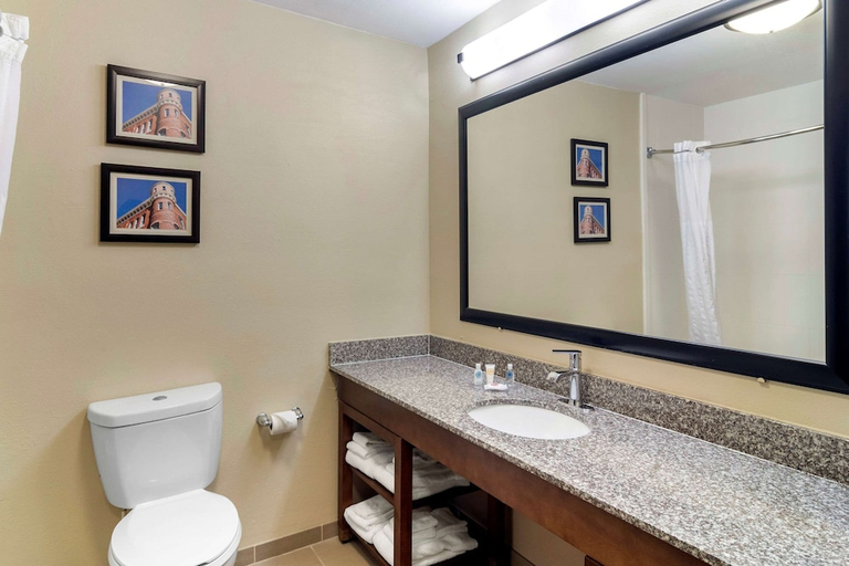 Bathroom 3, Comfort Inn And Suites Macon, Bibb