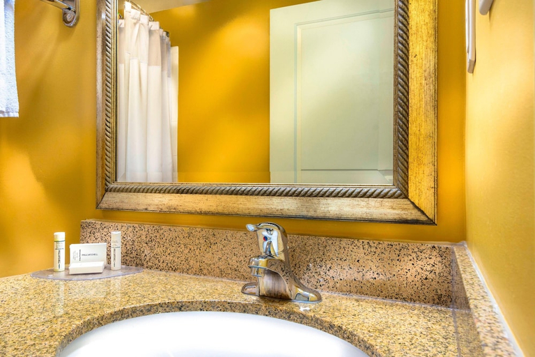 Bathroom 4, TownePlace Suites by Marriott Baltimore BWI Airport, Anne Arundel