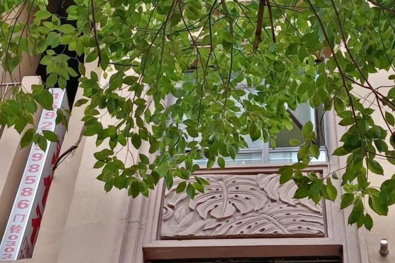 Exterior & Views 2, Xiaowo Hostel, Chongqing