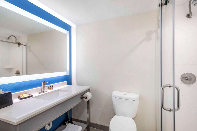 Bathroom 4, Best Western Plus Lake Lanier/gainesville Hotel & Suites, Hall