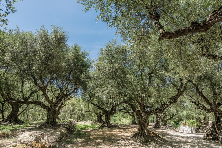 Others 5, Agrikia Villa, Ionian Islands